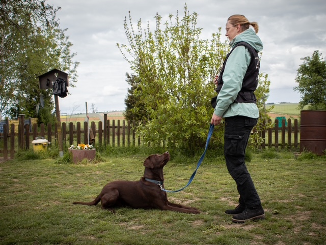 hundetrainierin
hundetraining
hundeschule
