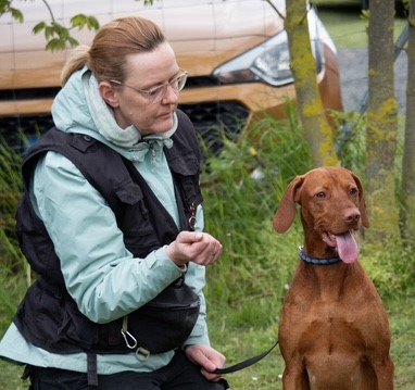 hundetrainierin
hundetraining
hundeschule